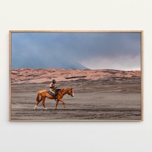 Cowboy Under Fire